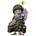 Avatar de l’utilisateur